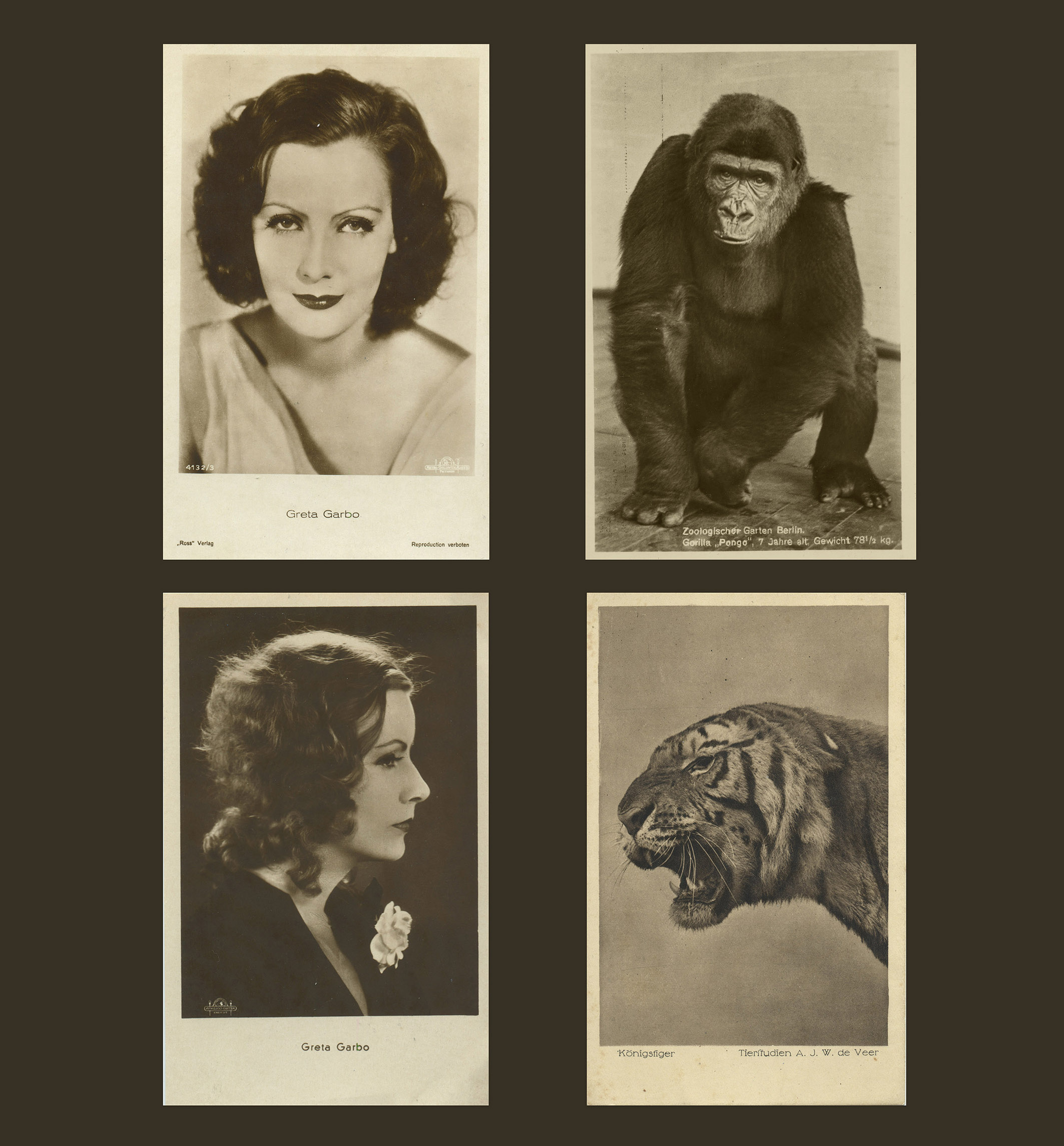 5 (1) – cristiana salami