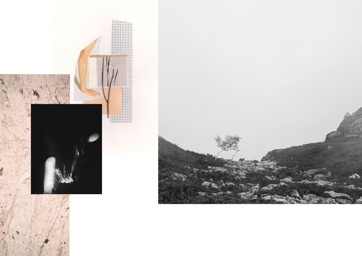 Berrino_Anna_02 – Taryn Ferrentino