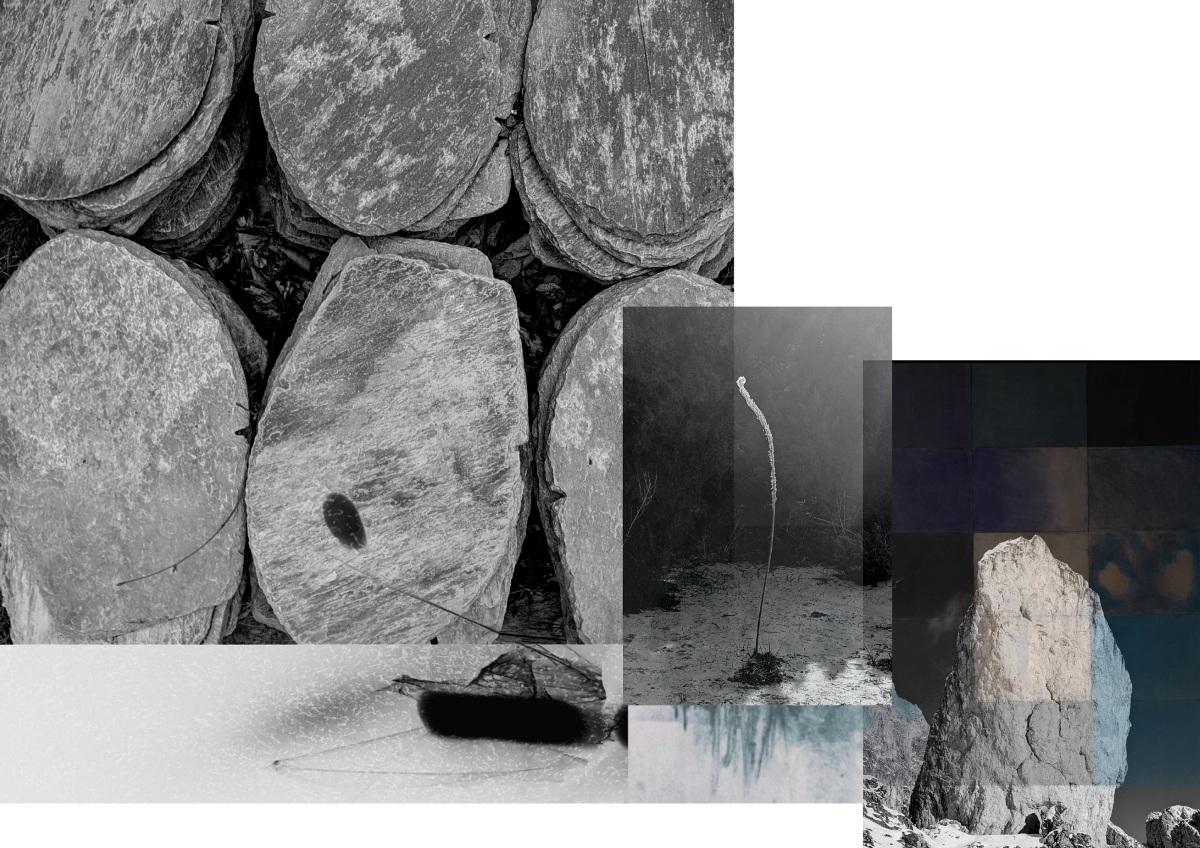 Berrino_Anna_04 – Taryn Ferrentino