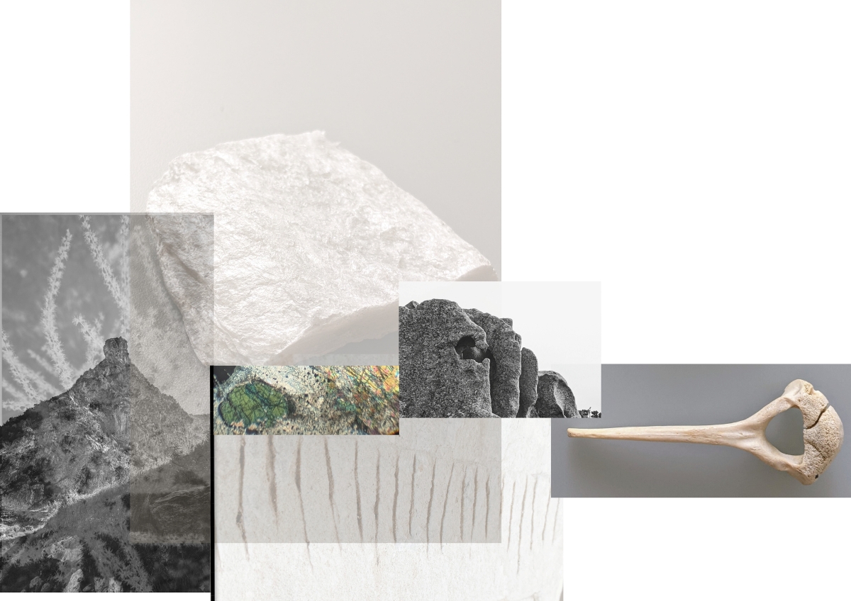 Berrino_Anna_05 – Taryn Ferrentino