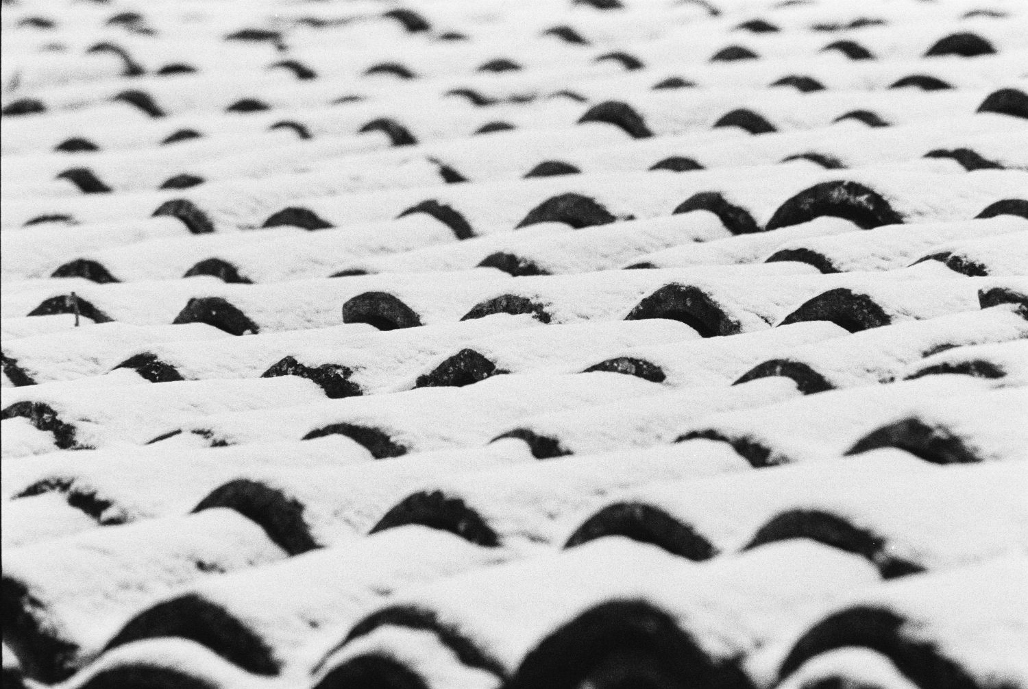 Claudio Galeotti_Elettra Galeotti_3 – Elettra Galeotti