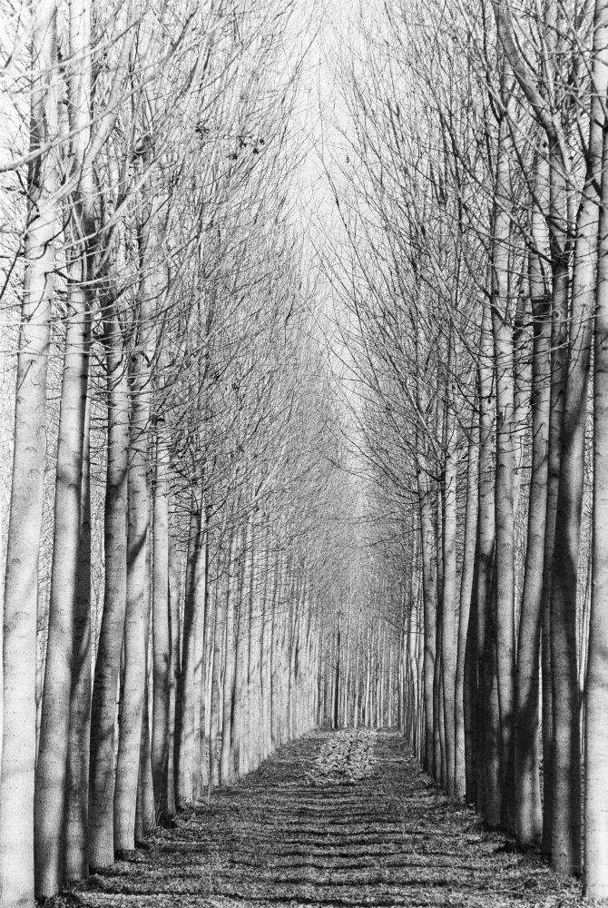 Claudio Galeotti_Elettra Galeotti_4 – Elettra Galeotti