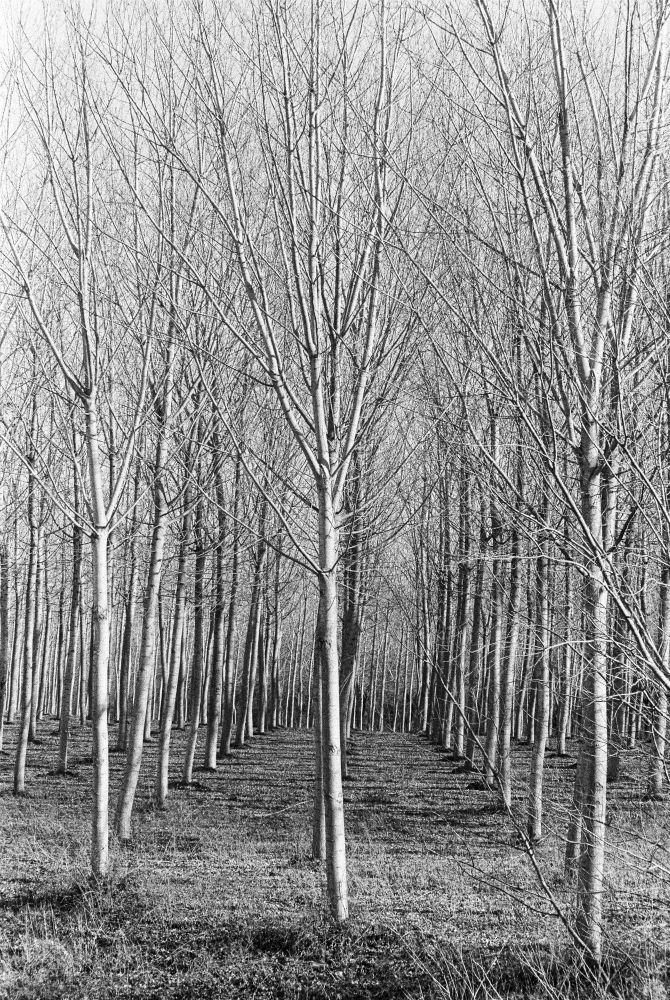 Claudio Galeotti_Elettra Galeotti_5 – Elettra Galeotti