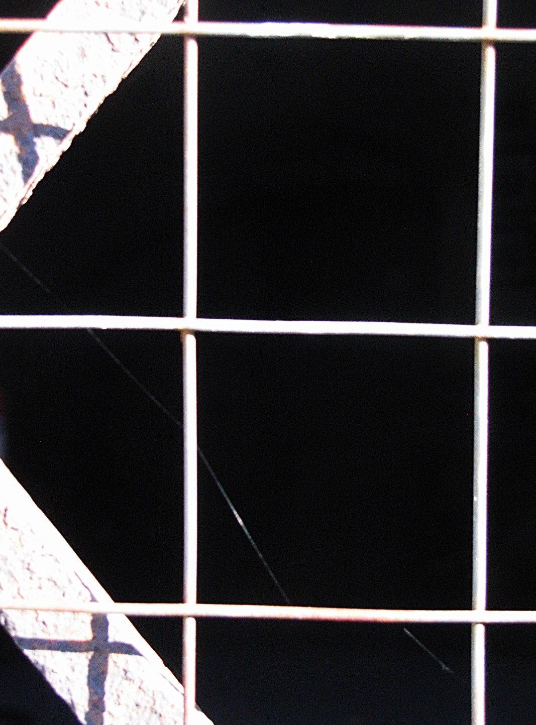 DANIELE – Cecilia Bandieri