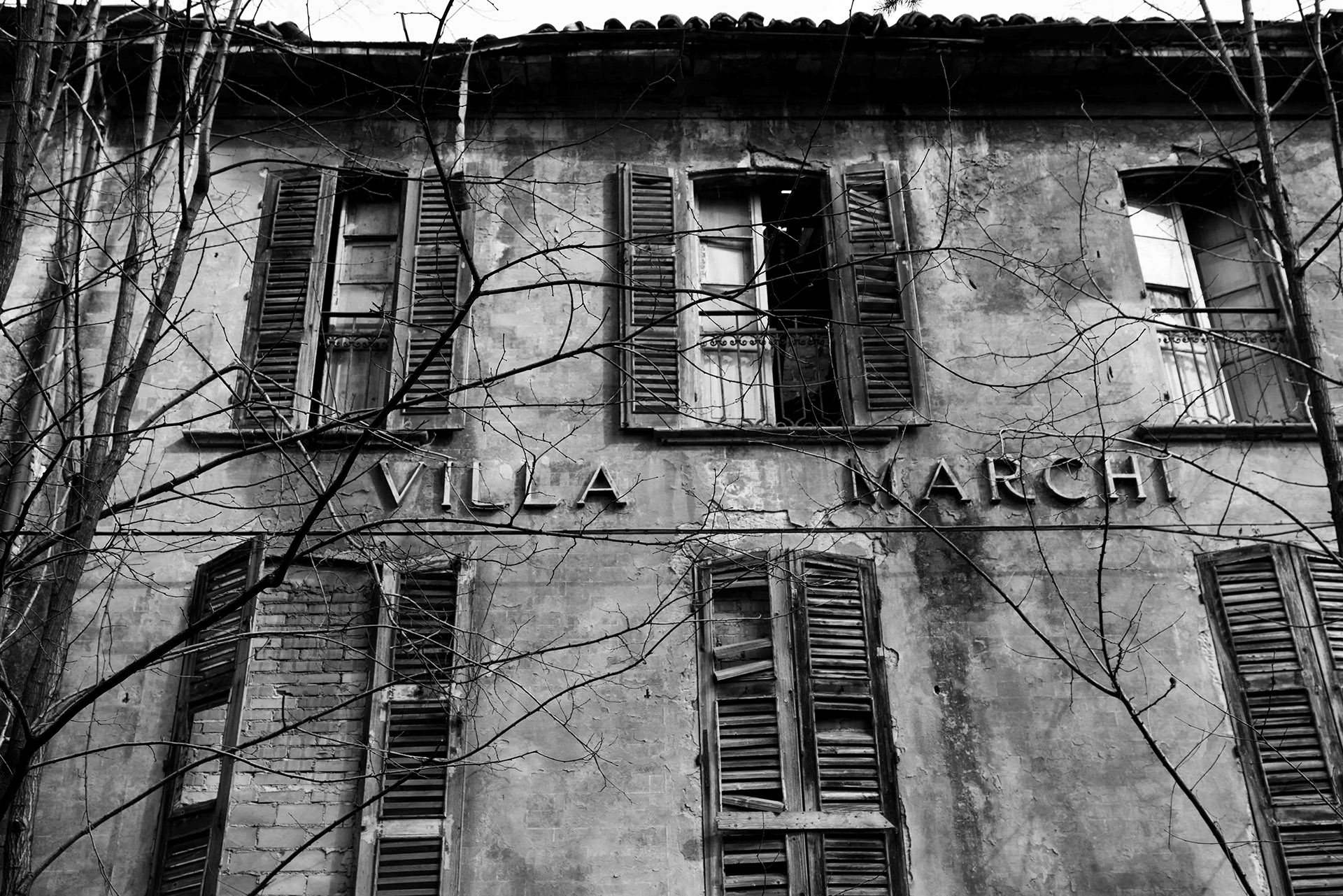 DSC01262 – Alfio Ansaloni