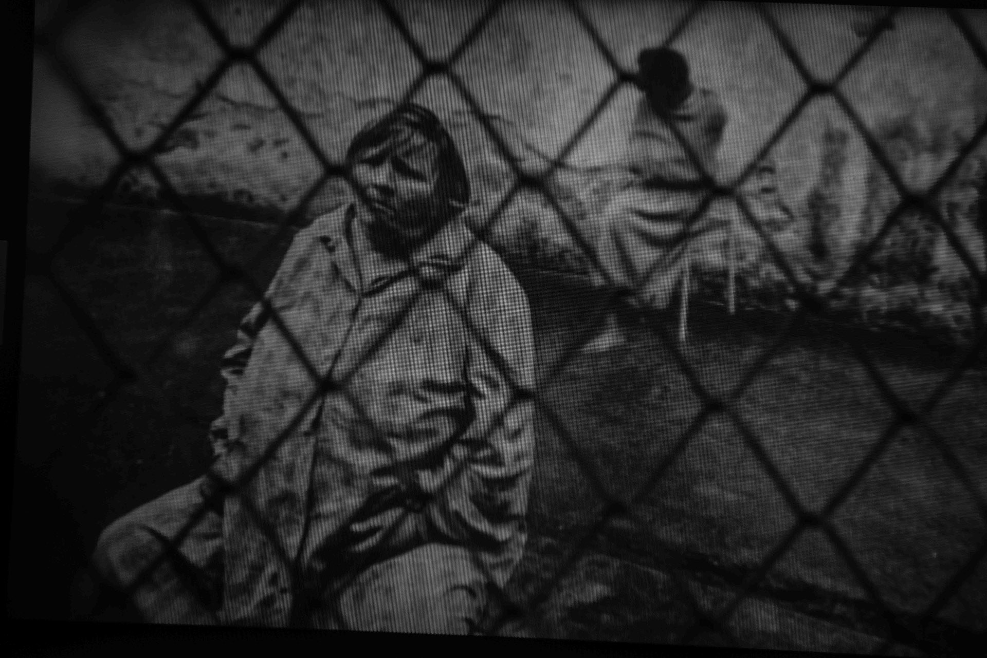 DSC_2894 – Alfio Ansaloni