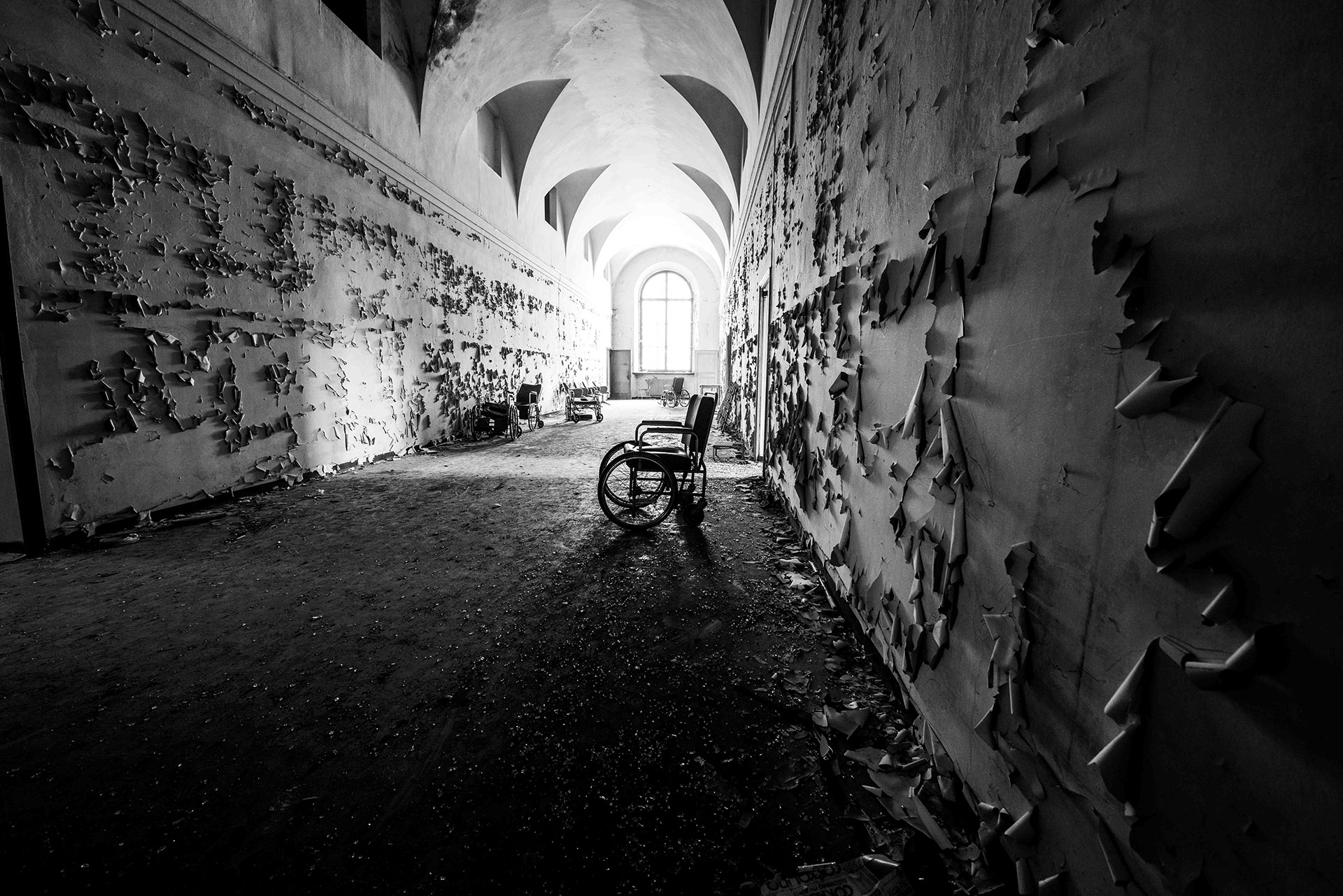 DSC_5005 – Alfio Ansaloni