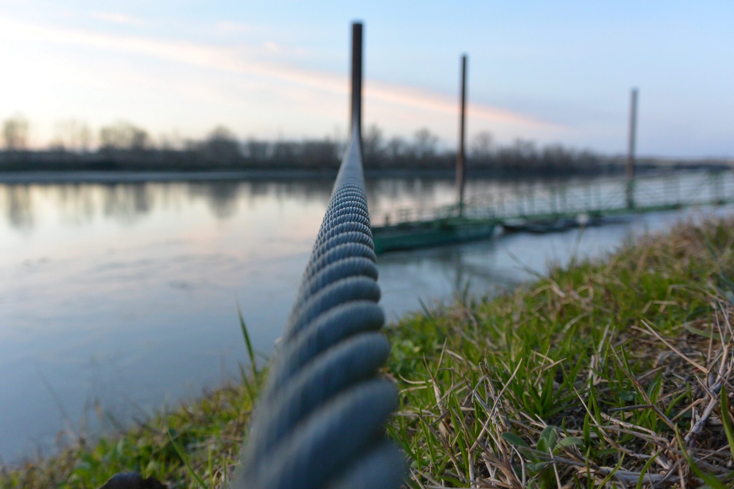 ELEONORA – Cecilia Bandieri