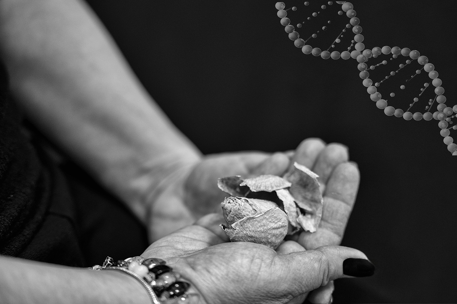 Fieni_DNA 005 – stefania di girolamo