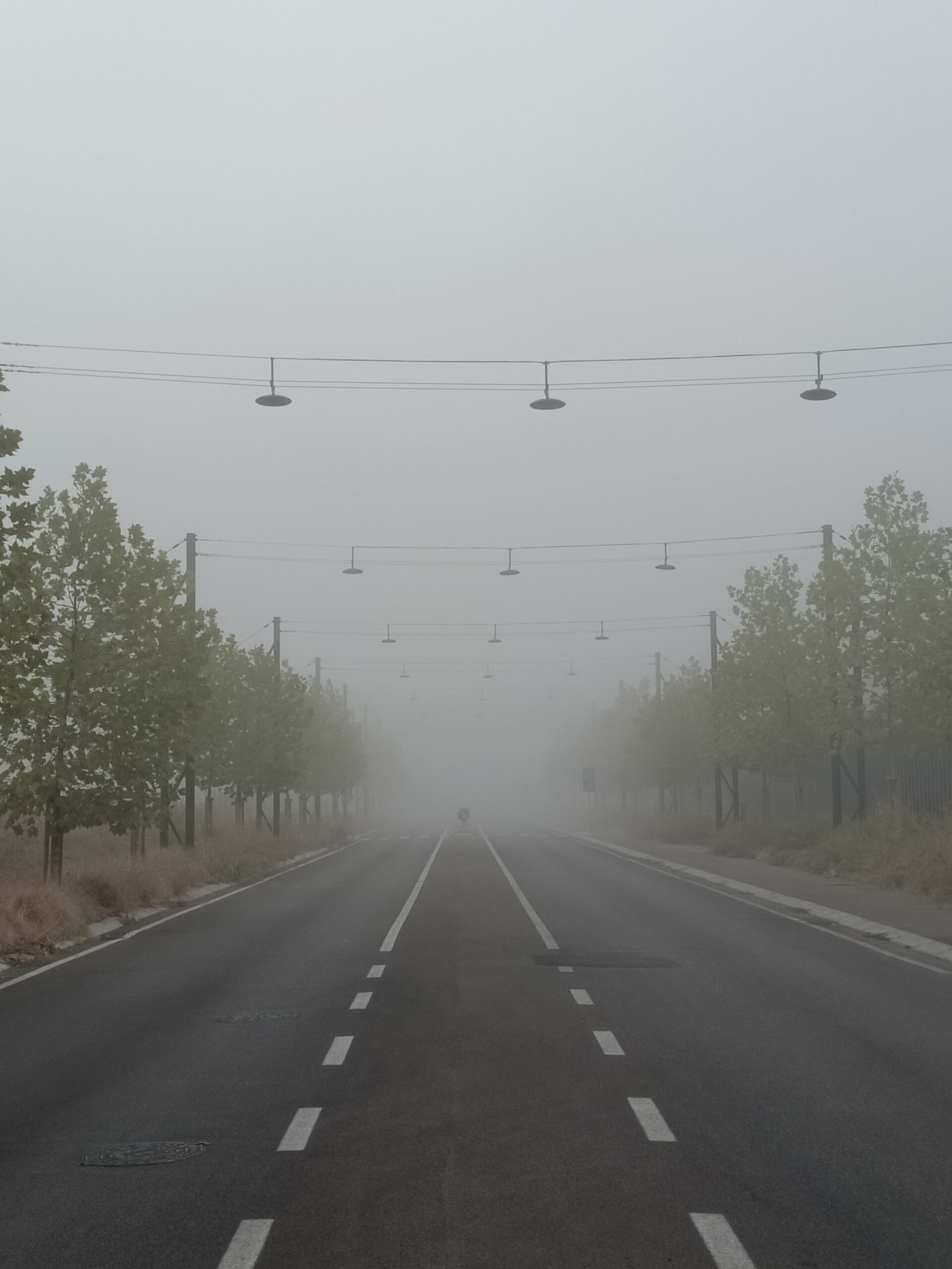 IMG_20251102_232735 – Andrea Boni