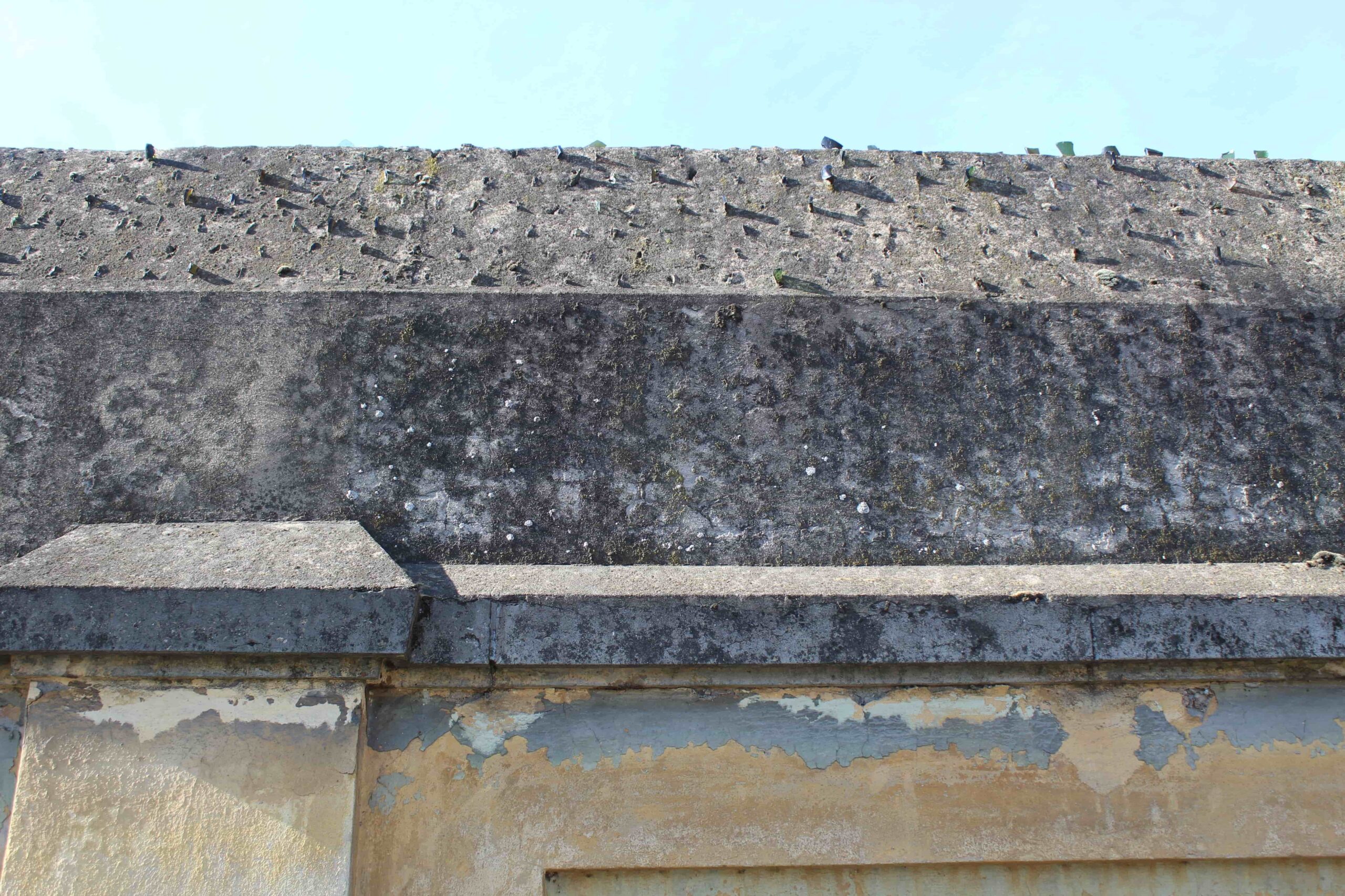 IMG_2182 (1) – Federica Violi