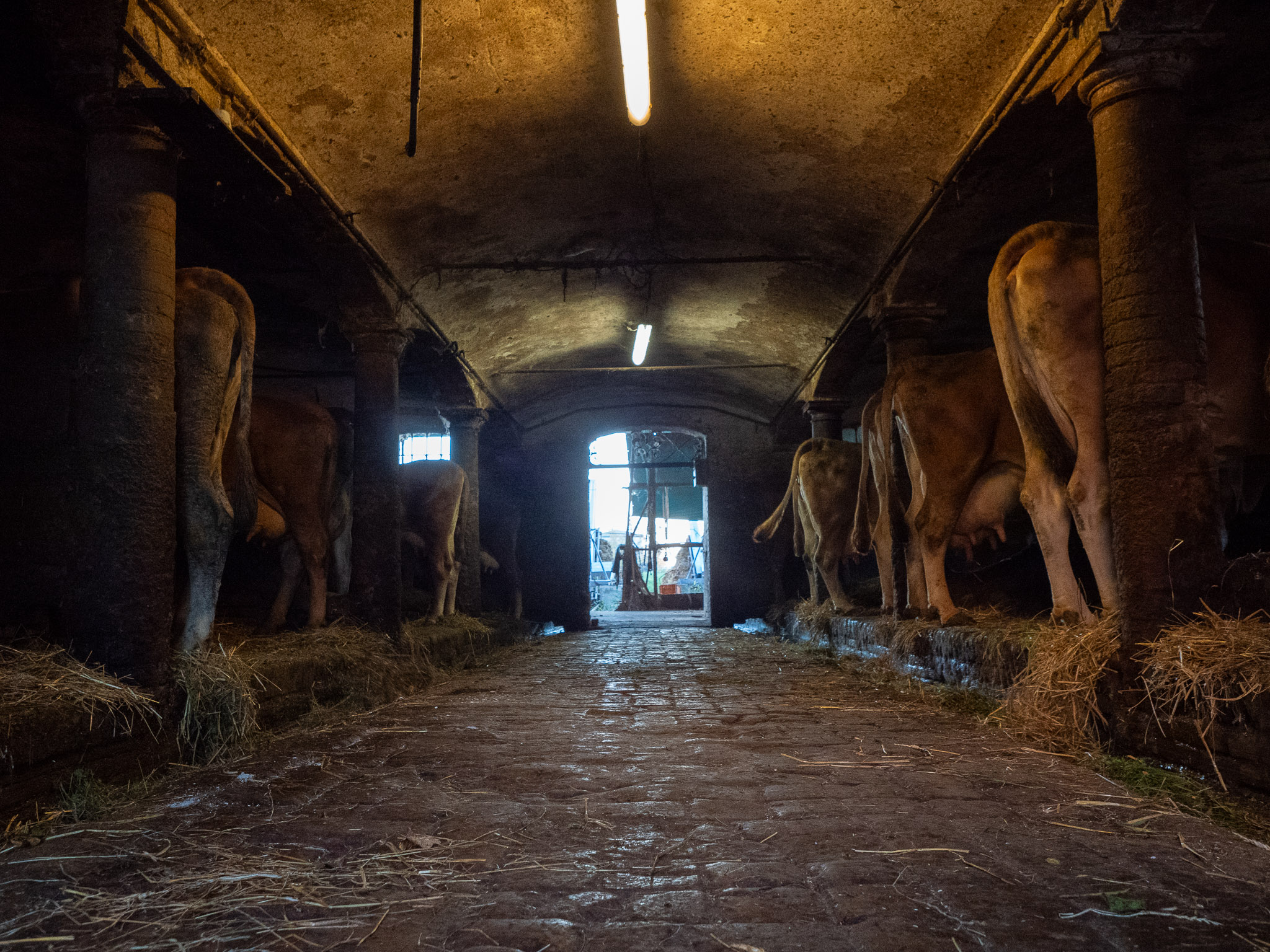 INCROCI-2 – Francesca Maramotti