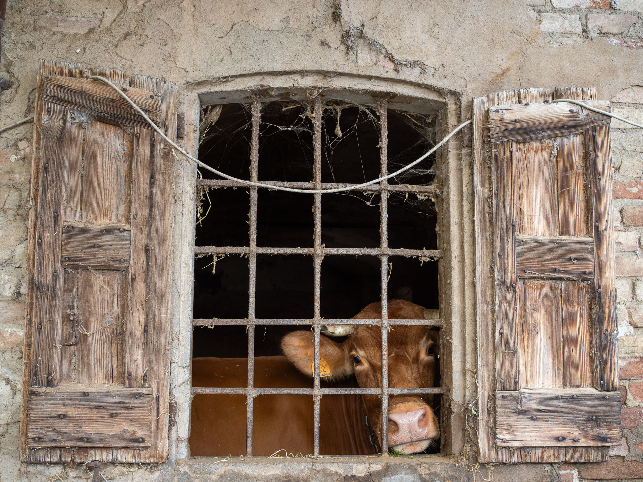 INCROCI-3 – Francesca Maramotti