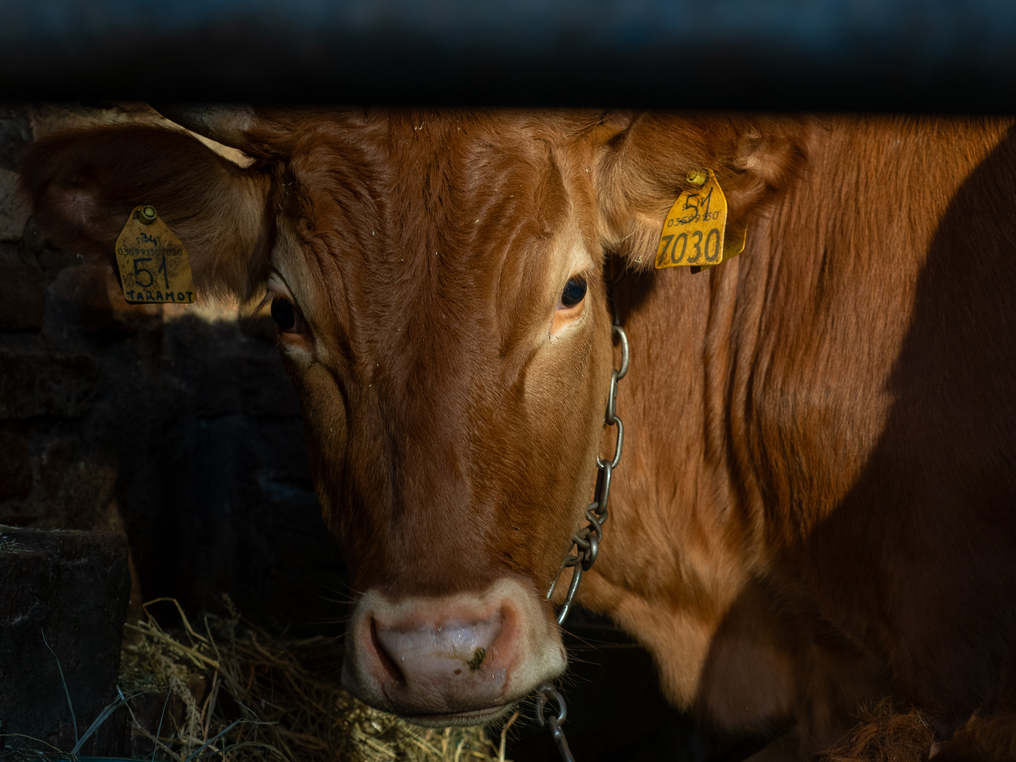 INCROCI 4 – Francesca Maramotti