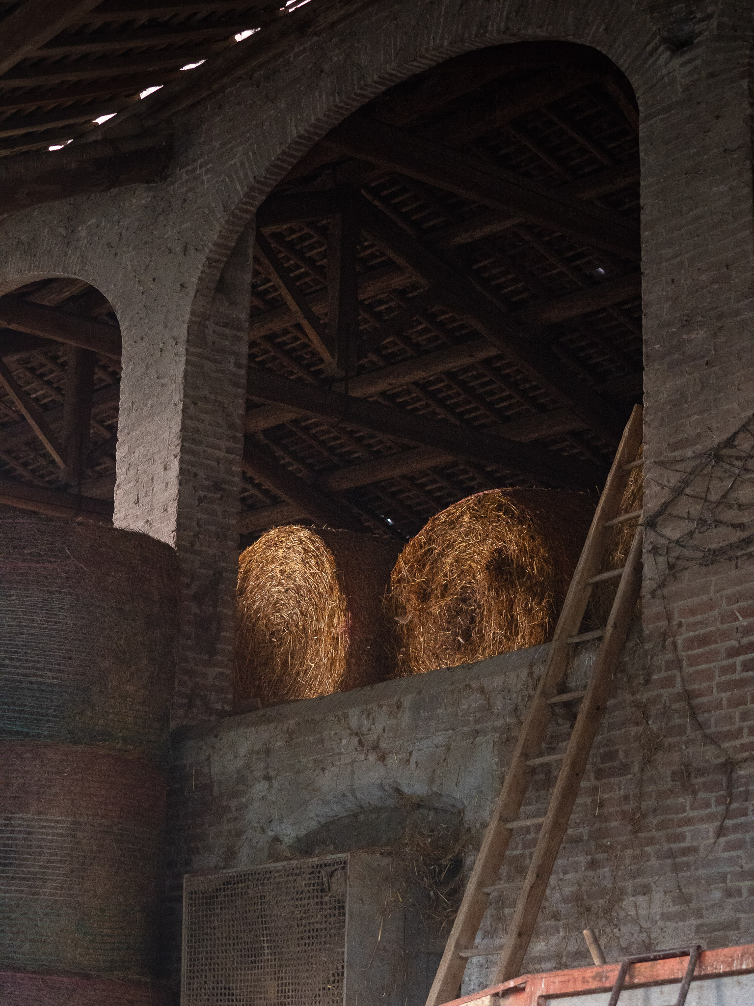 INCROCI-5 – Francesca Maramotti