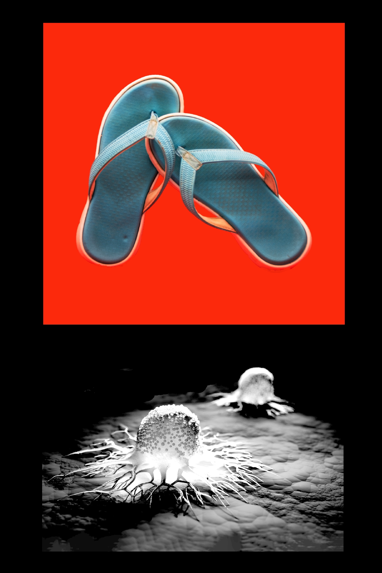 Image00001 – Monica Pelizzetti