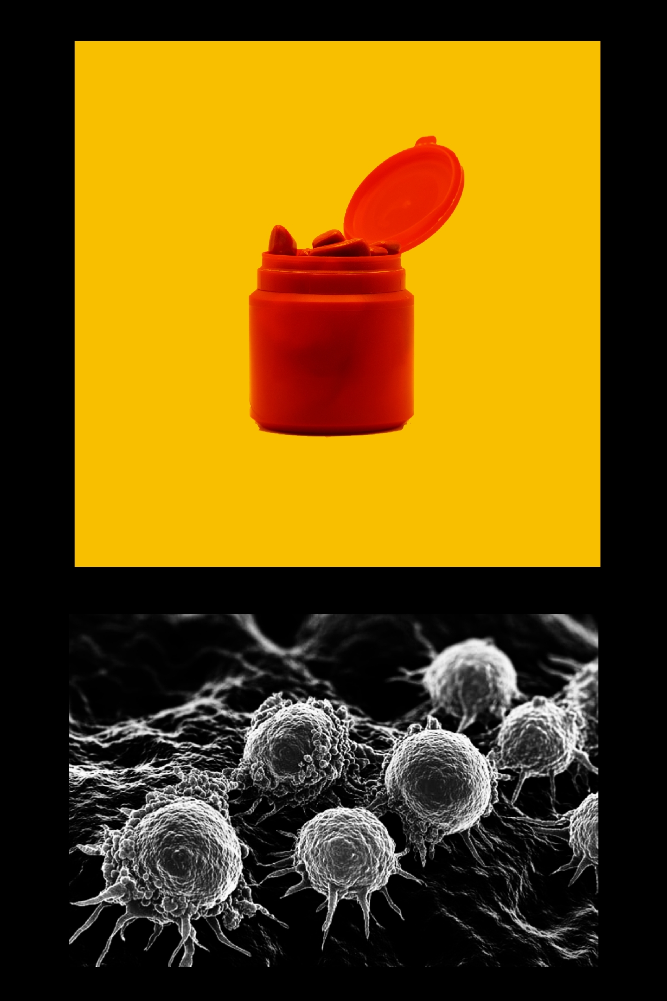 Image00003 – Monica Pelizzetti