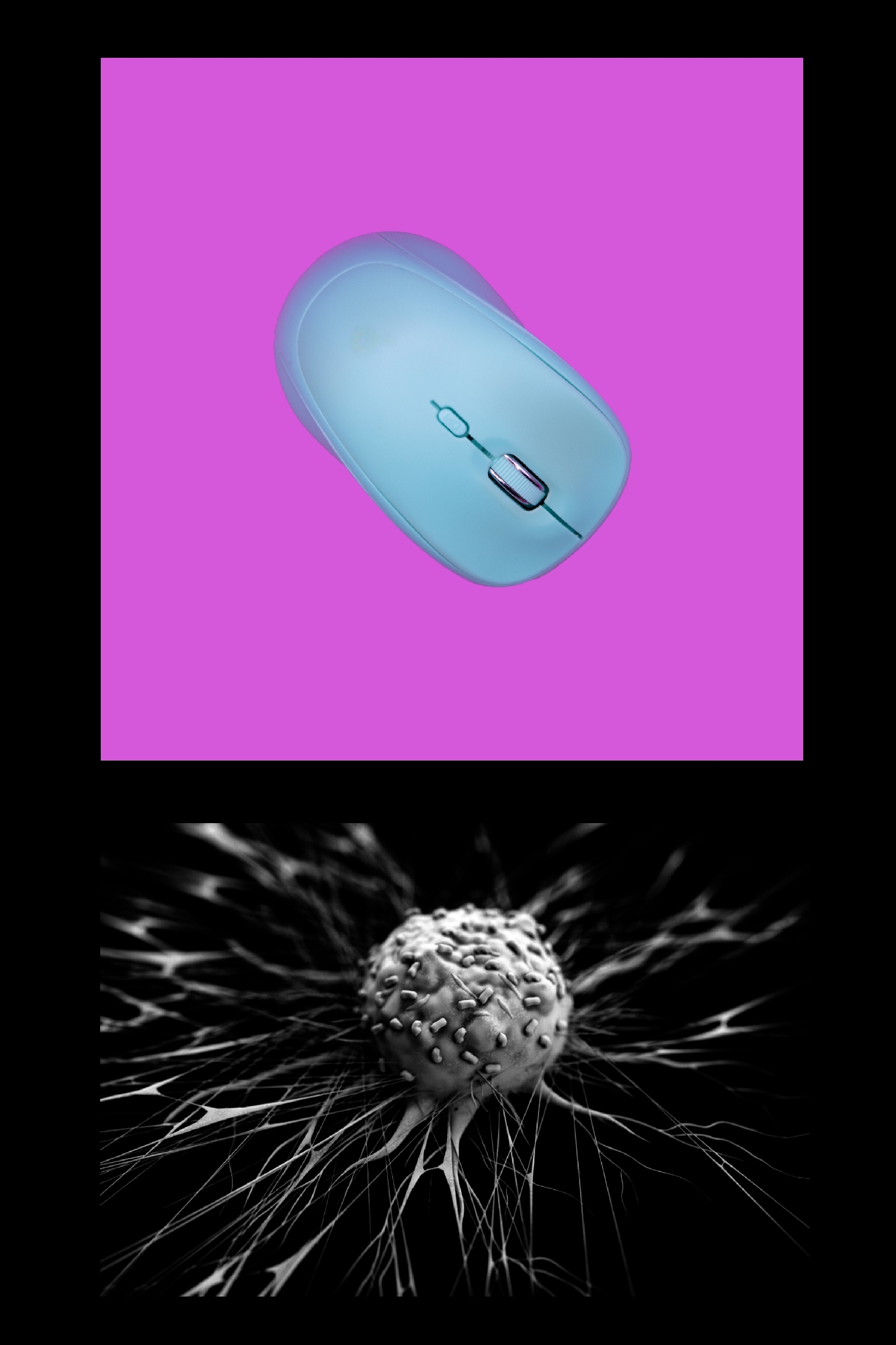 Image00005 – Monica Pelizzetti