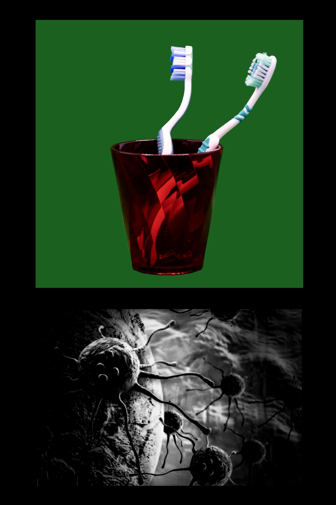 Image00007 – Monica Pelizzetti