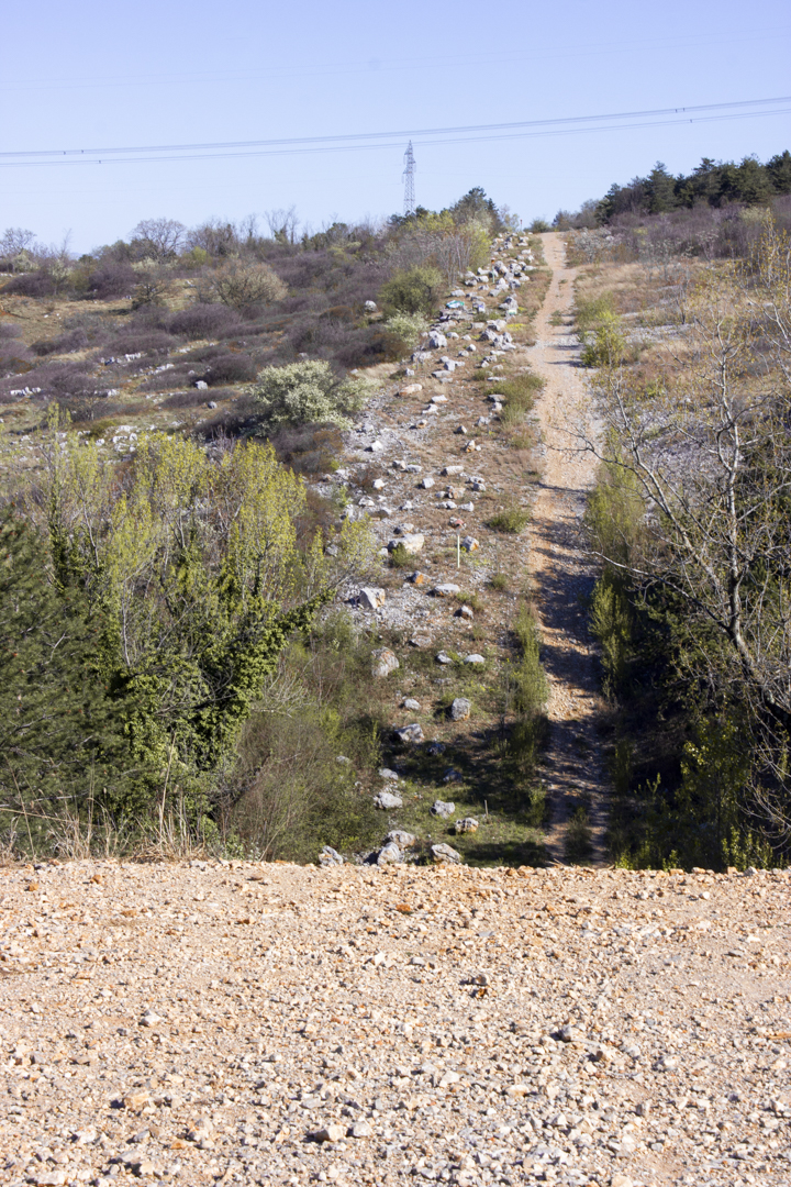 _MG_8428 – Raffaele Zanuttini