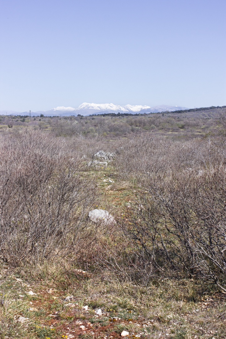 _MG_8561 – Raffaele Zanuttini