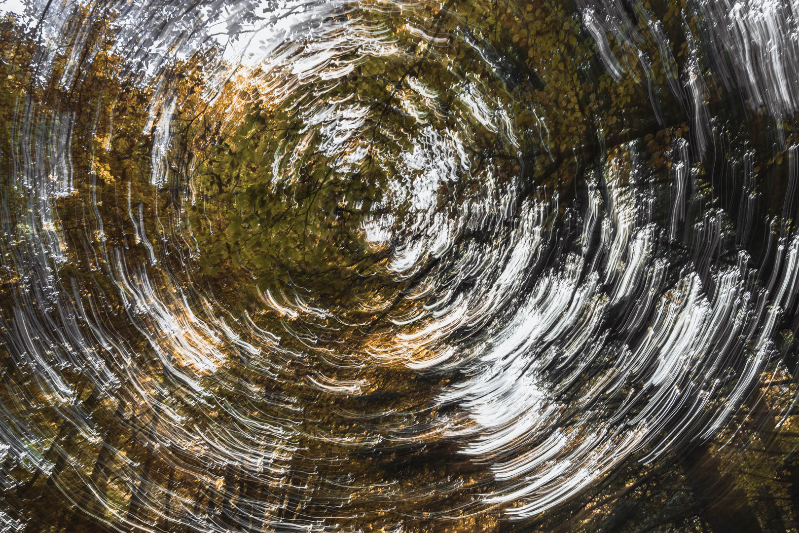 Onde di luce – Francesco Pifferi