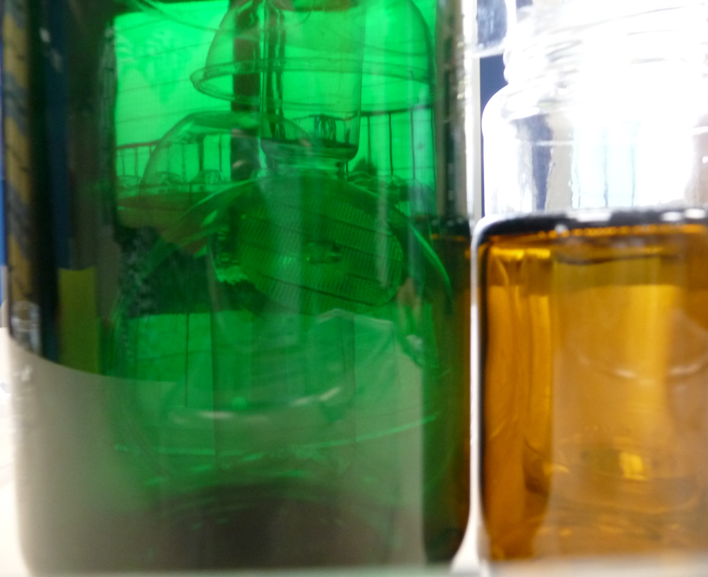 P1130039 – Daria Schirato