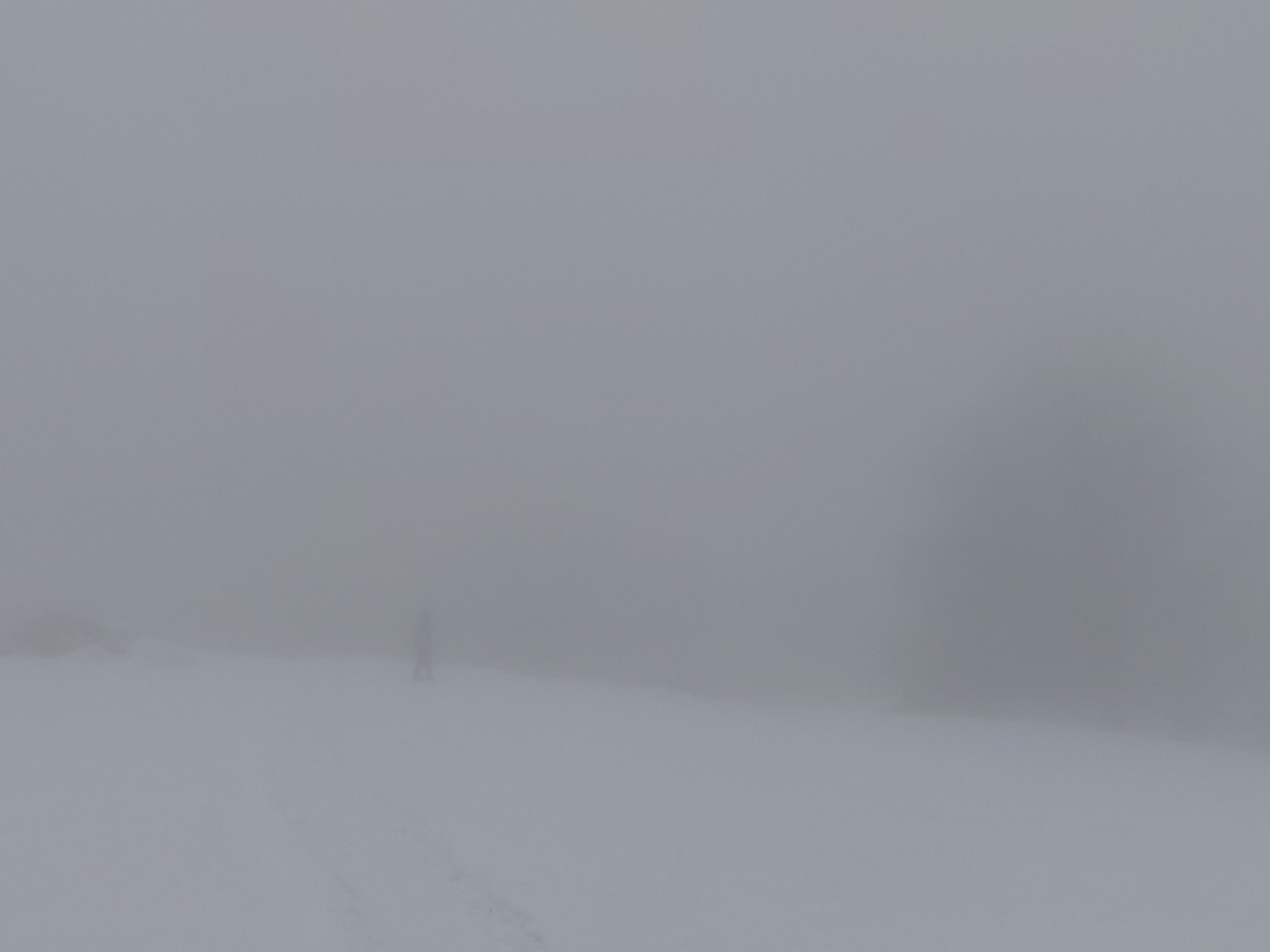 Paesaggio_Residual-Presence-(1) – Michele Bolzani