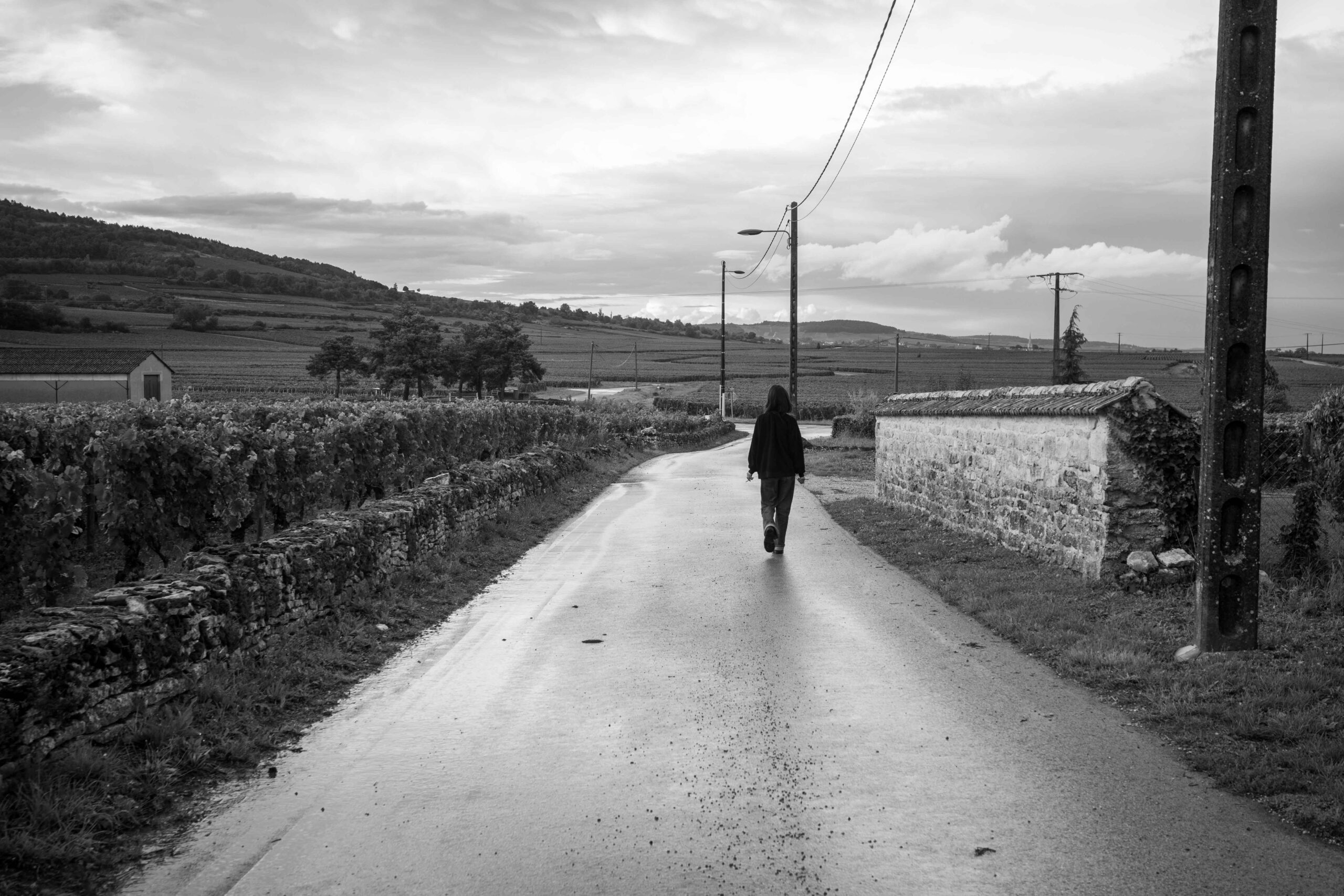 R0003885b – Veronica Carcano