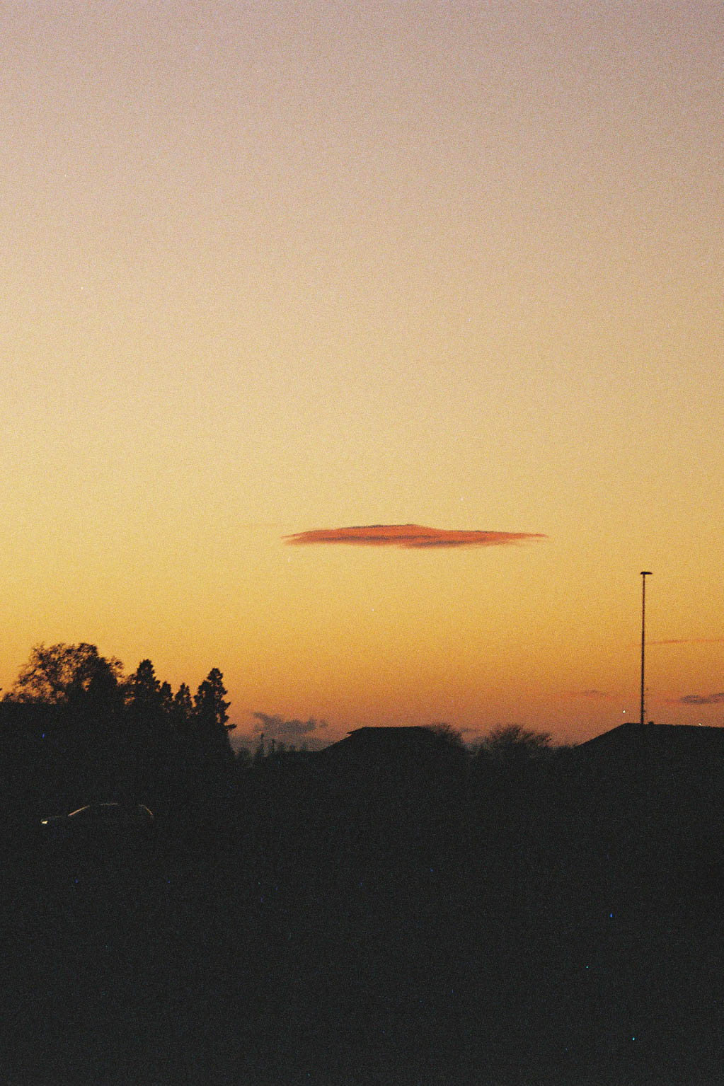 R1-02858-0022 – Tommaso Frammosa