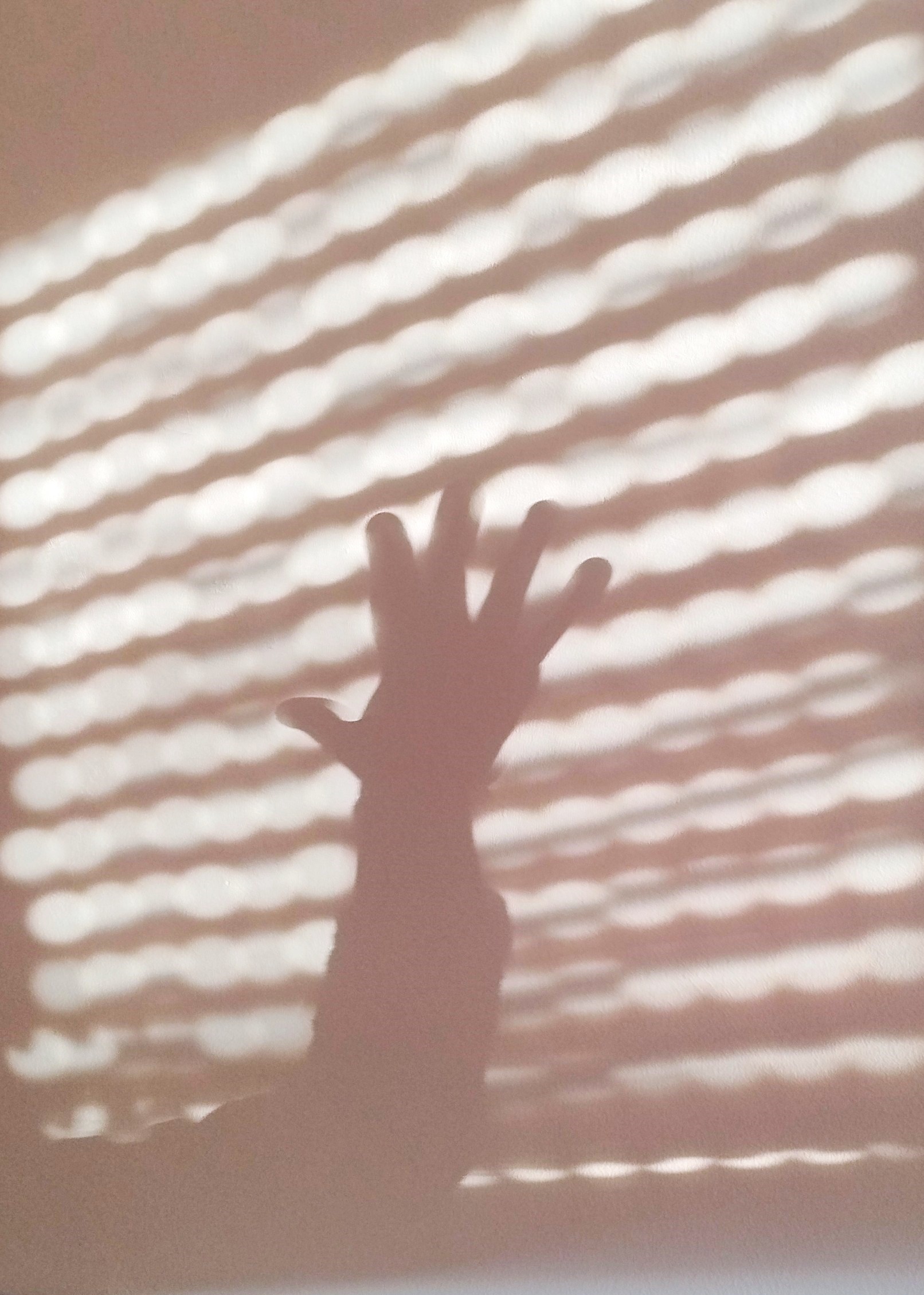 REBECCA – Cecilia Bandieri