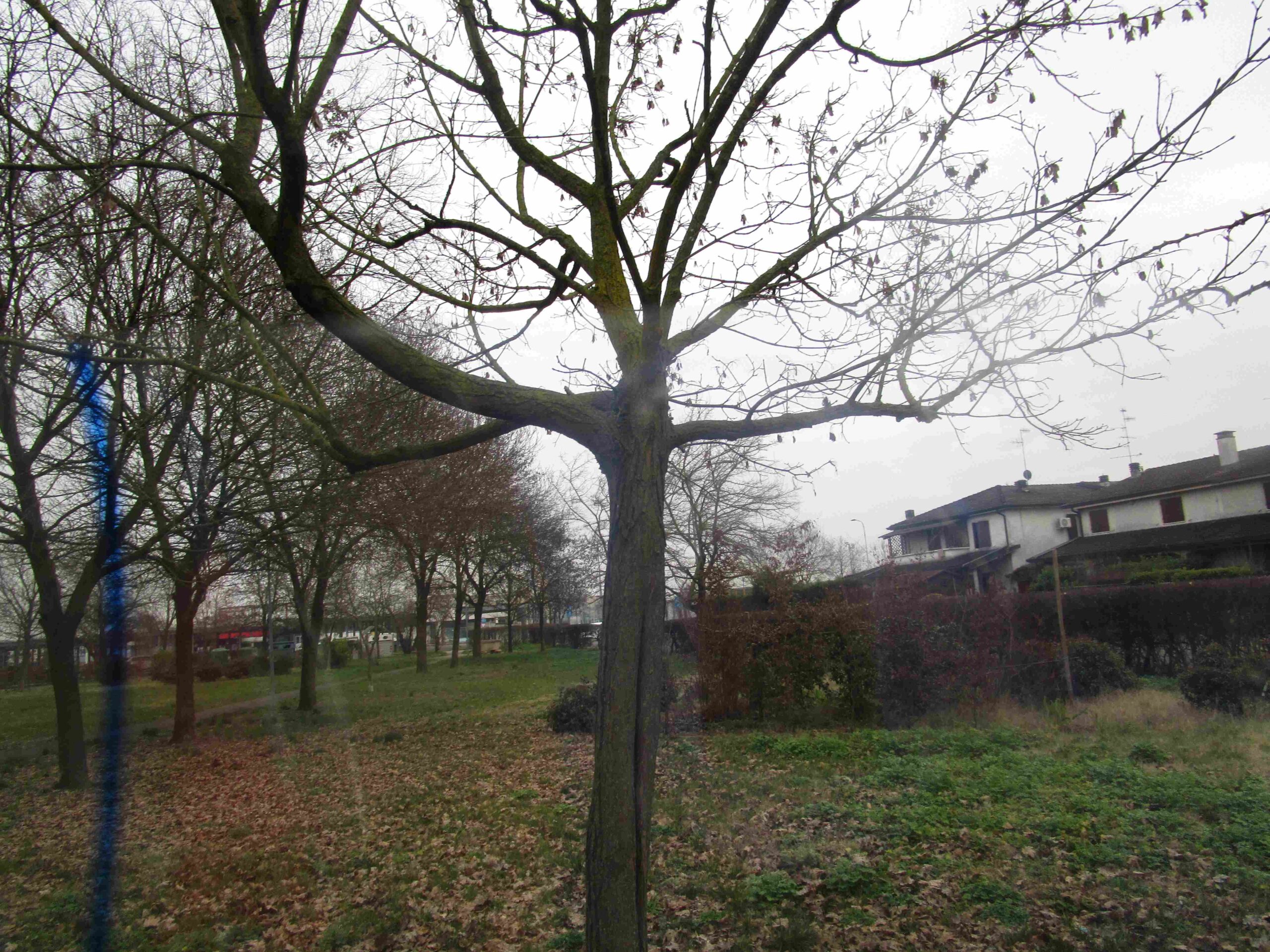 RICCARDO – Cecilia Bandieri