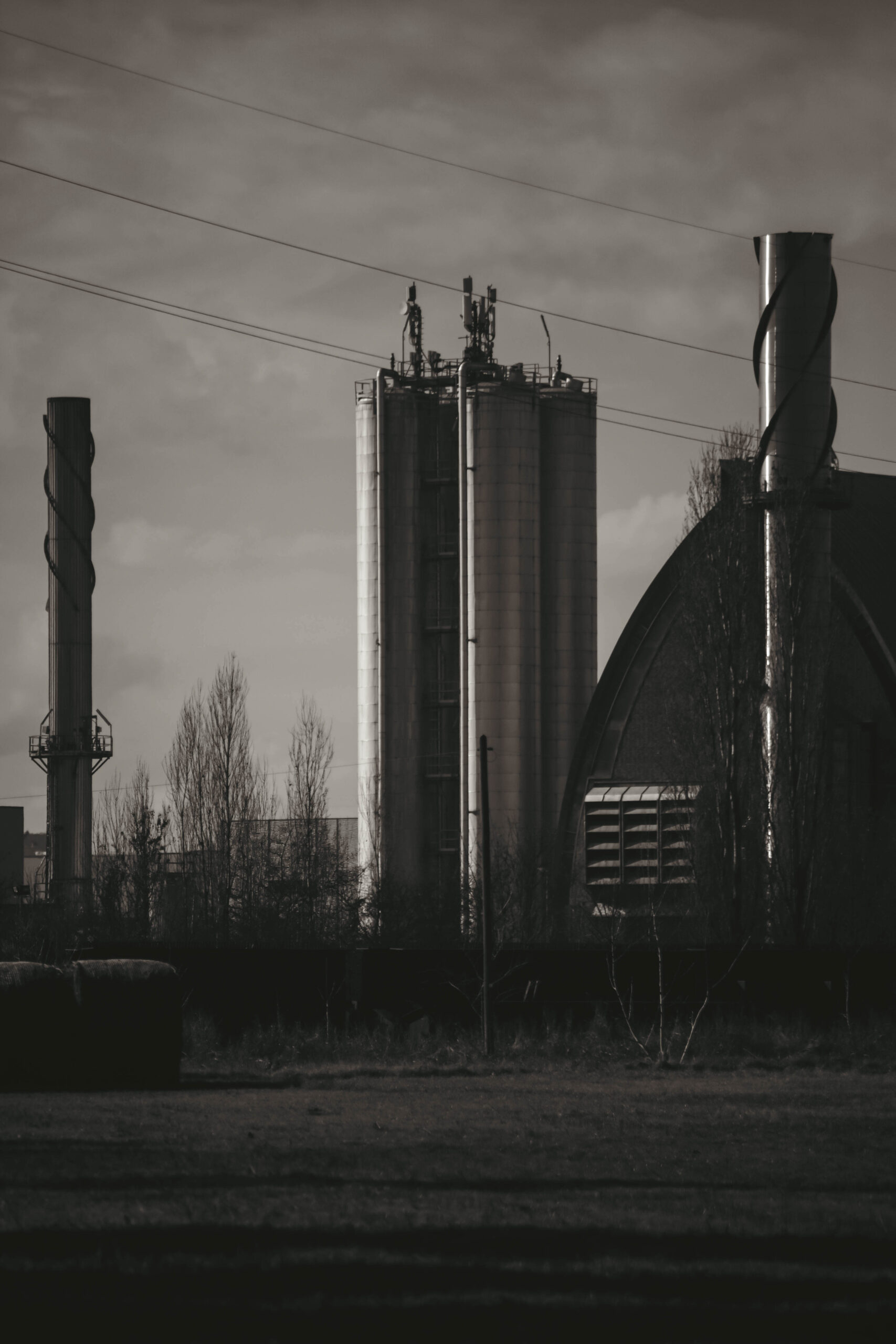 S63B0322-2 – Tommaso Frammosa