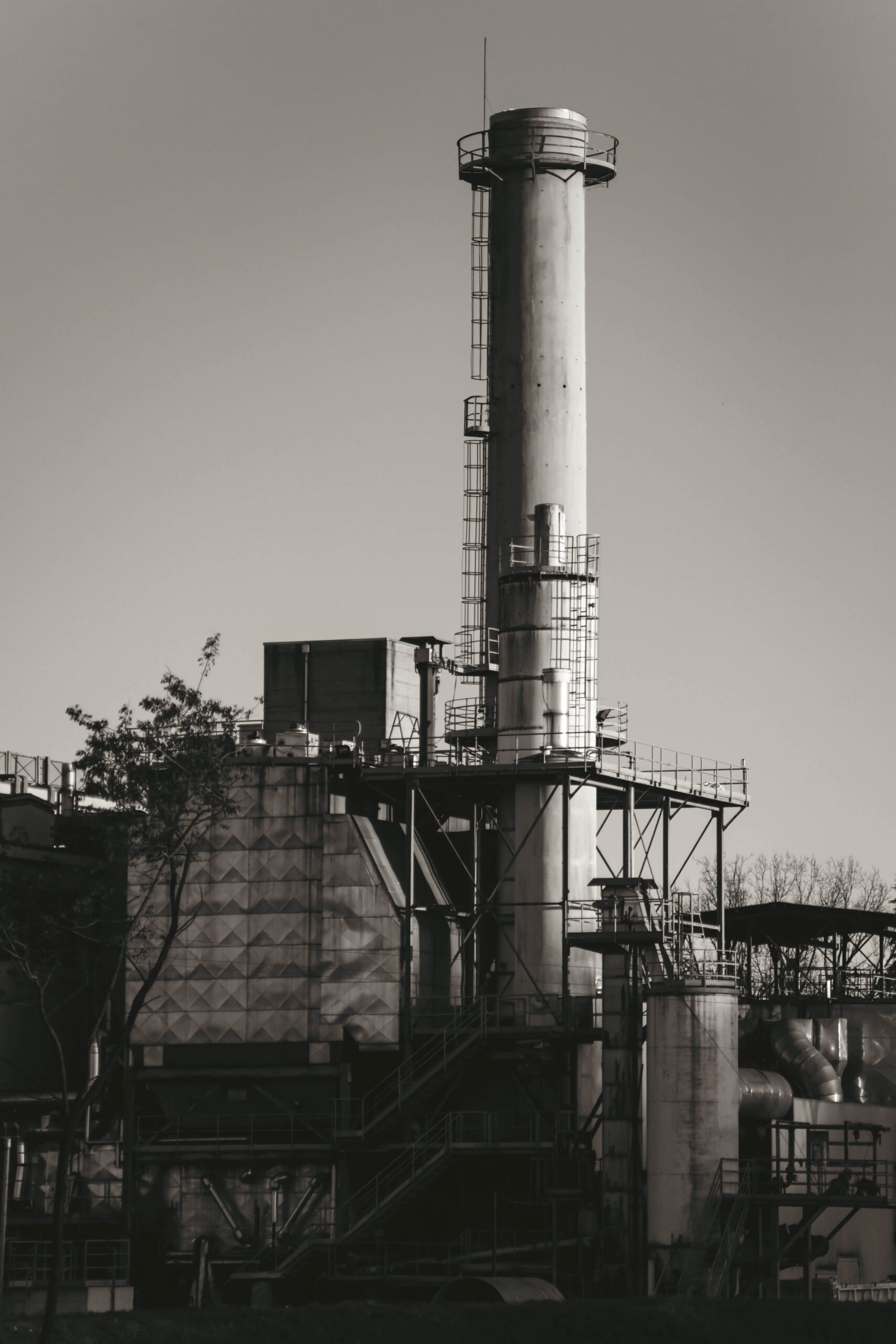 S63B0437-2 – Tommaso Frammosa