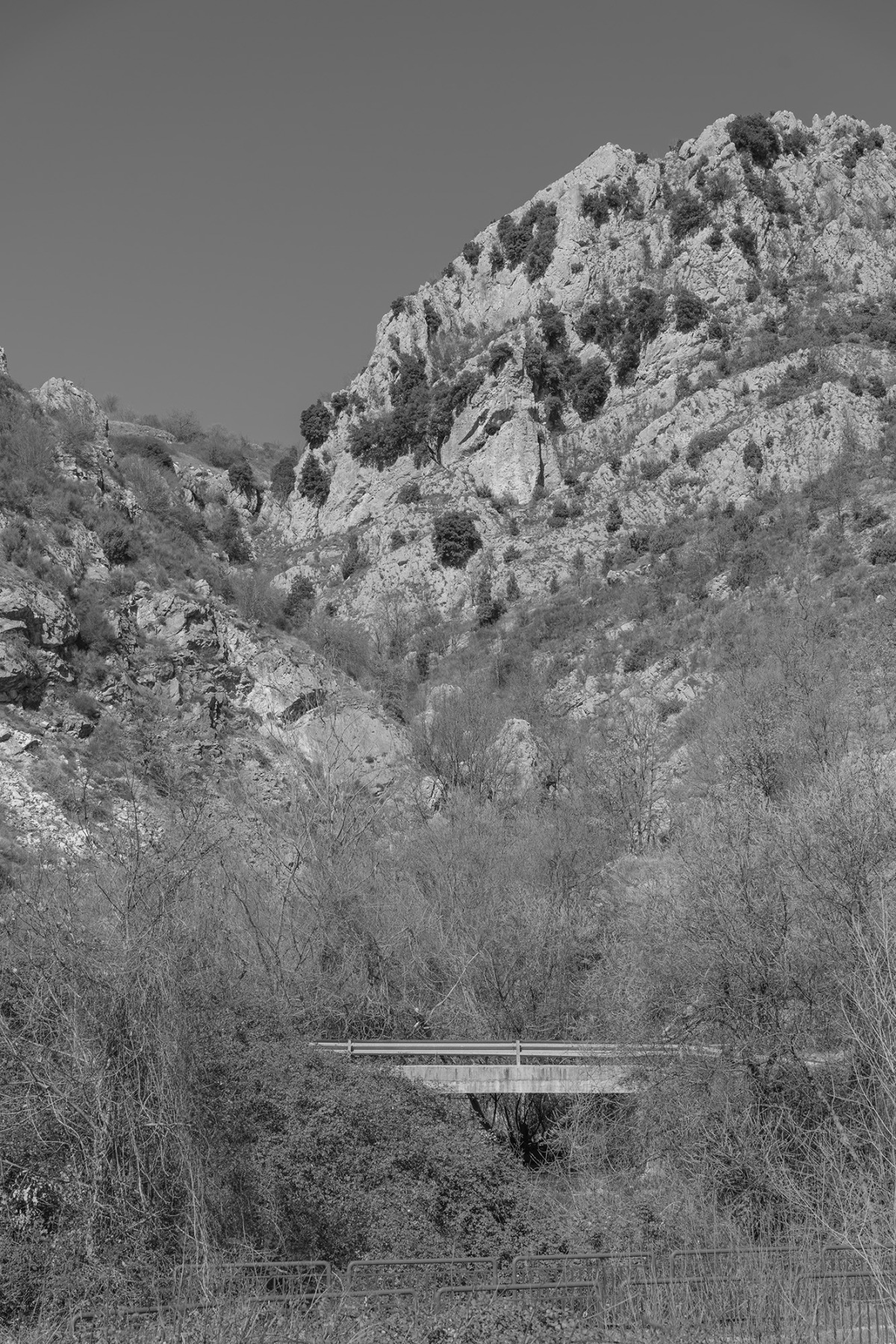 Savelli_Alessandra_01 – Taryn Ferrentino