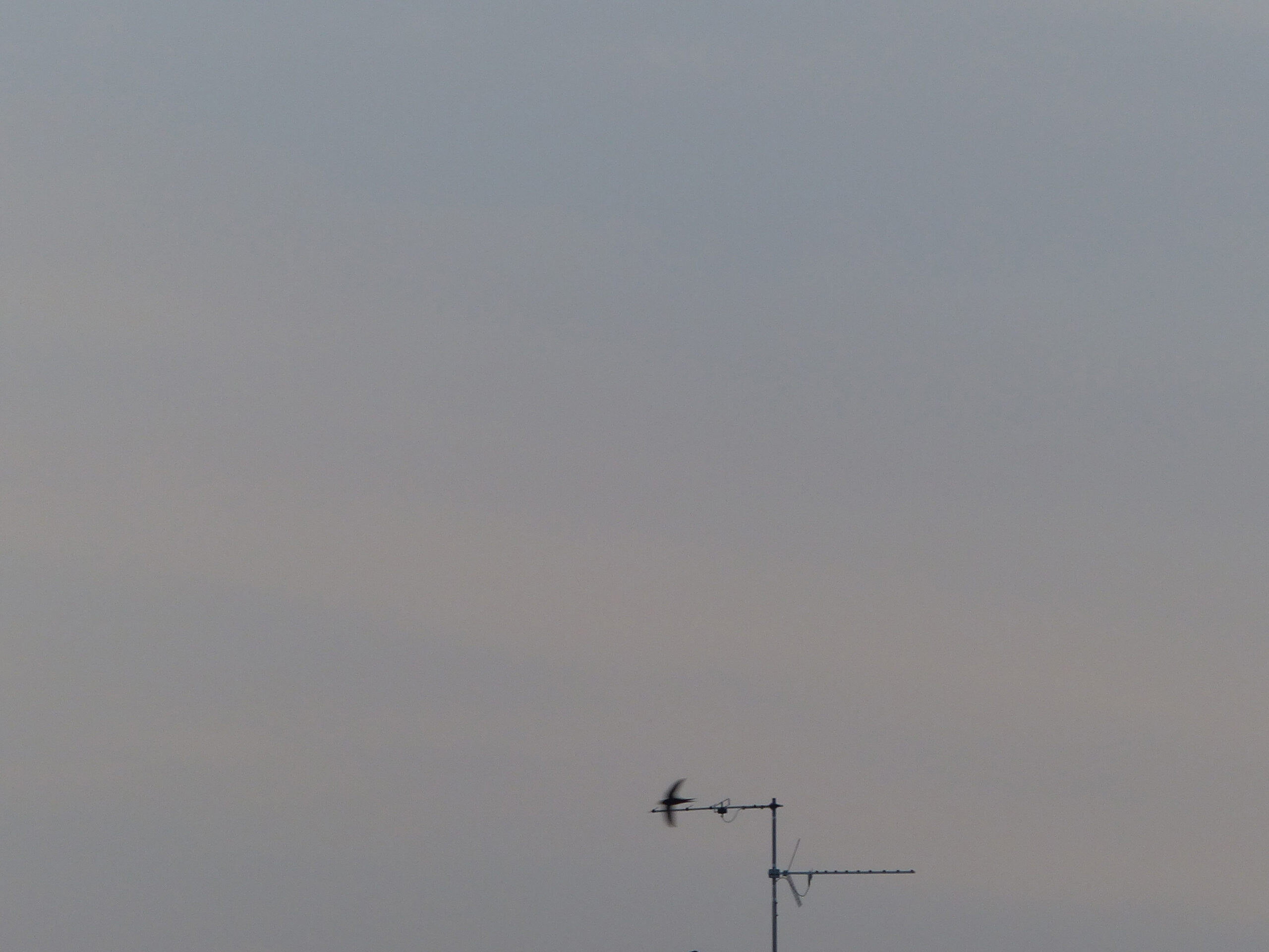 due – Marta Fumanti (1)