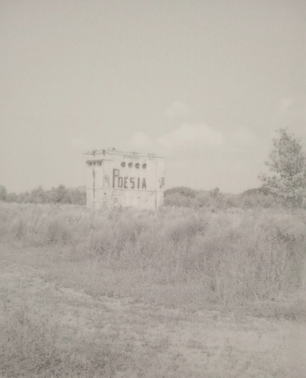 poesiaariannadorafaiella – ary sand (1)