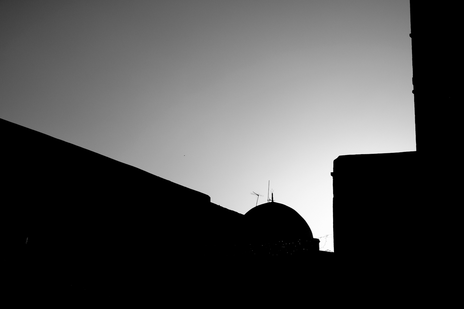 senza titolo-5 – Fiorella Iacono