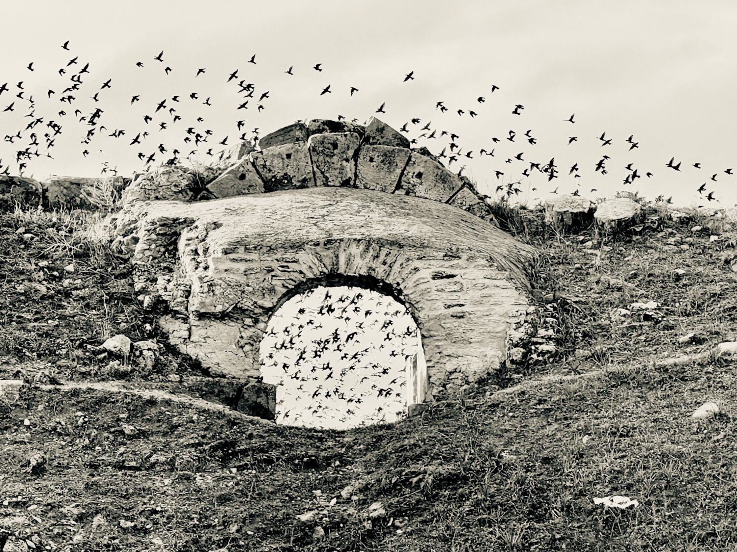 senza titolo-9 – Fiorella Iacono