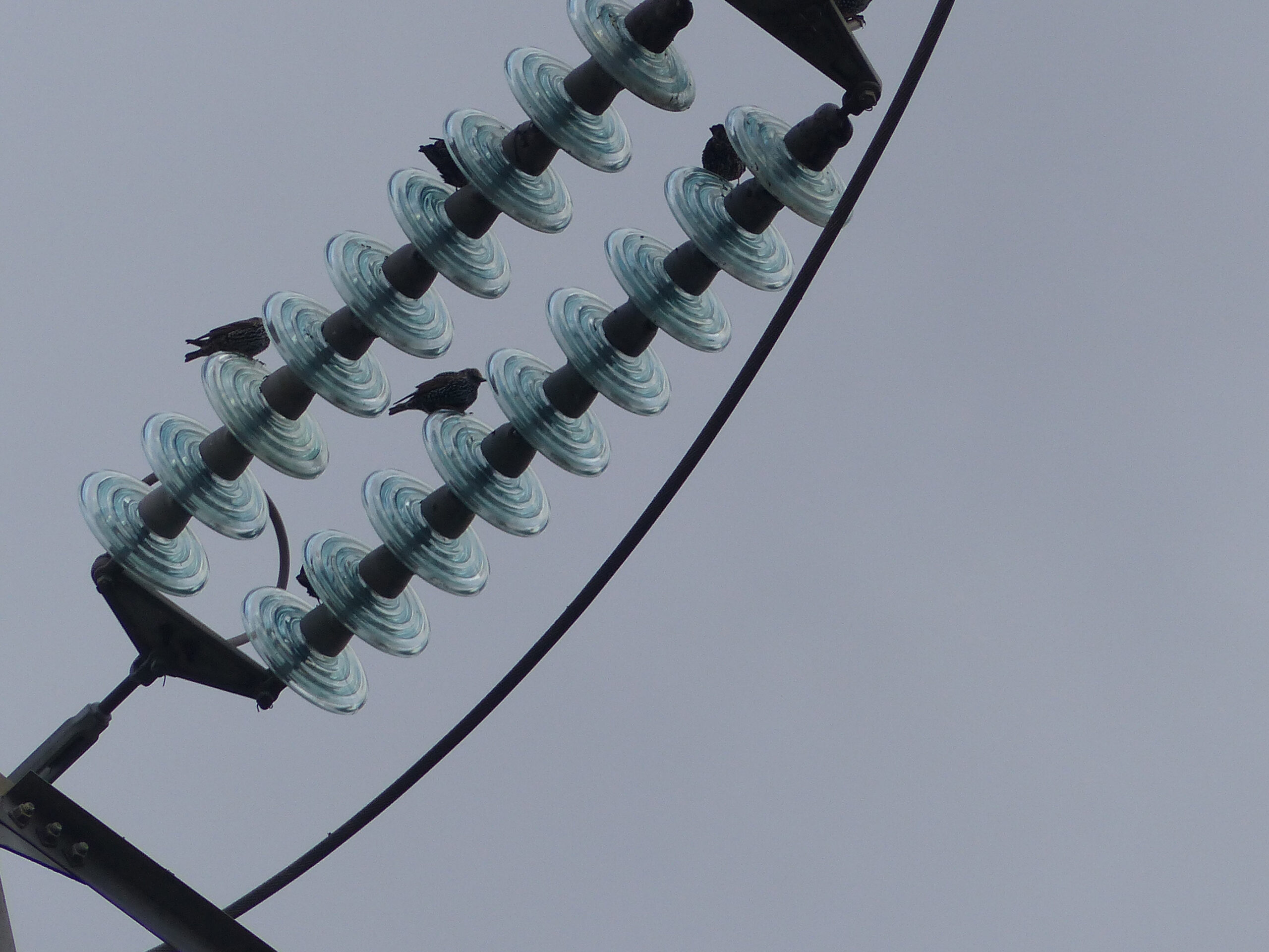 tre – Marta Fumanti