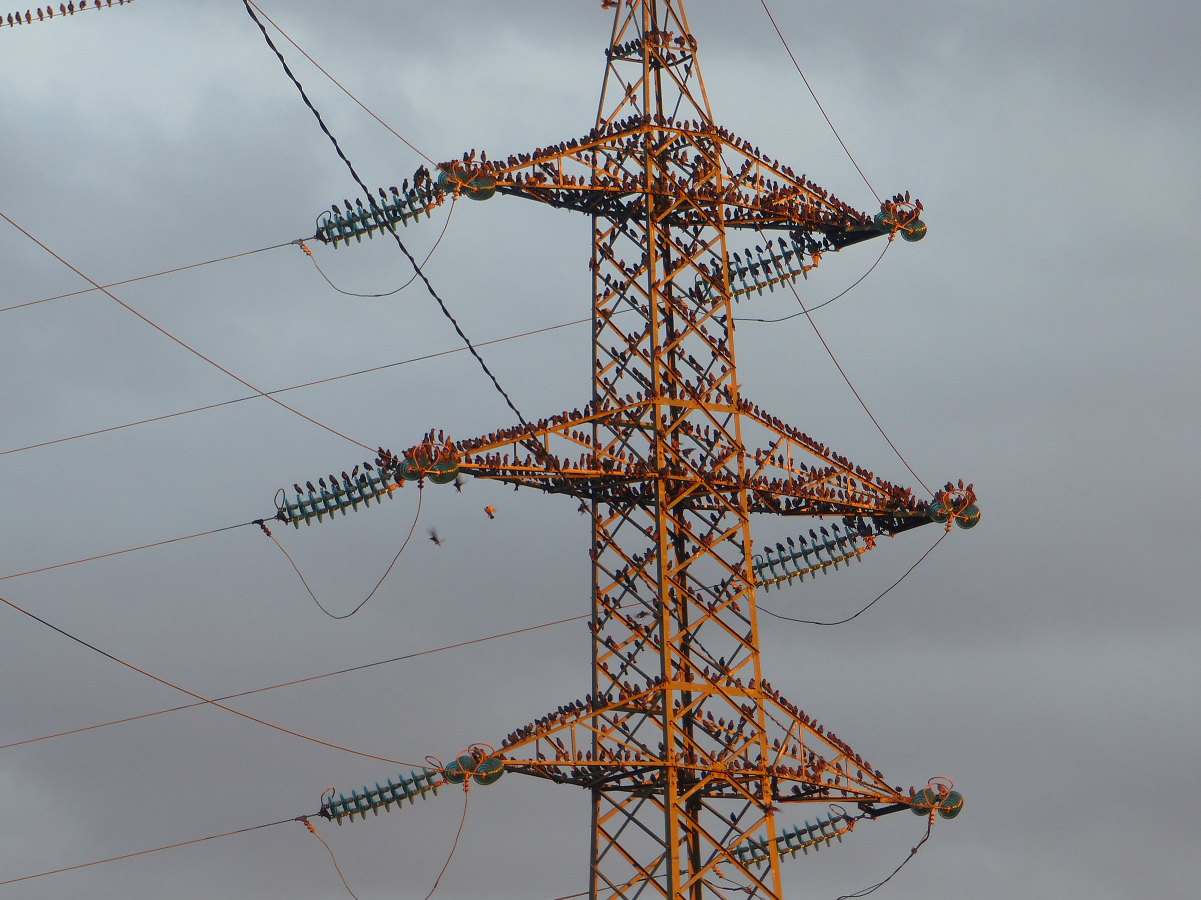 uno – Marta Fumanti