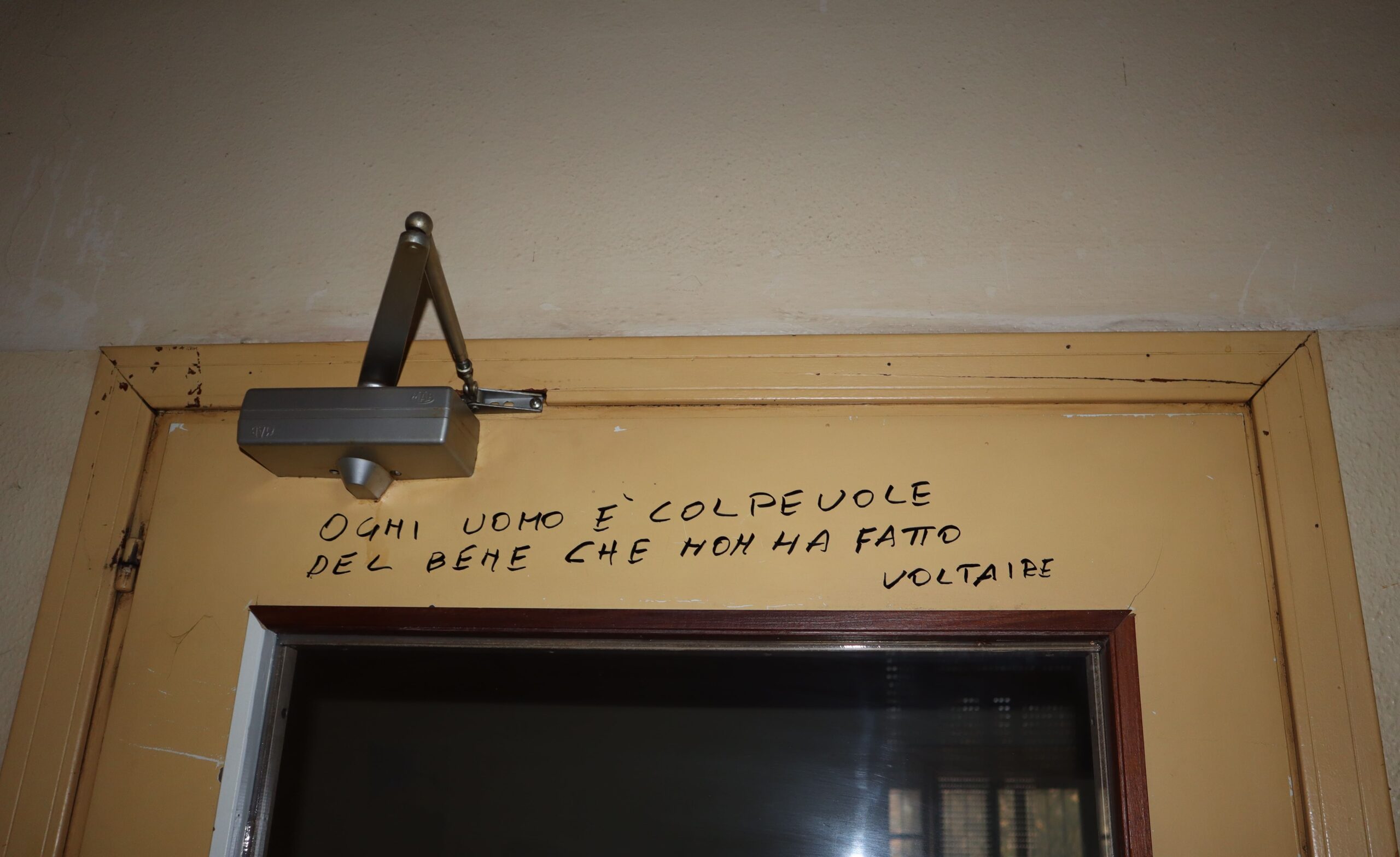 voltaire – Federica Violi