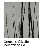 Germano Olivotto