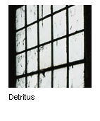 Detritus