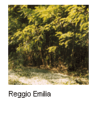 Reggio Emilia