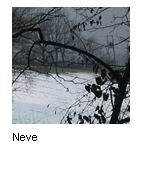 Neve