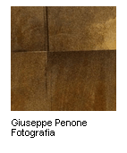 Giuseppe Penone