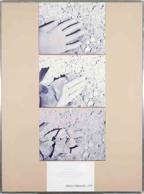 Denis Oppenheim