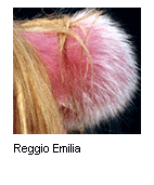 Reggio Emilia