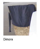 Dimora